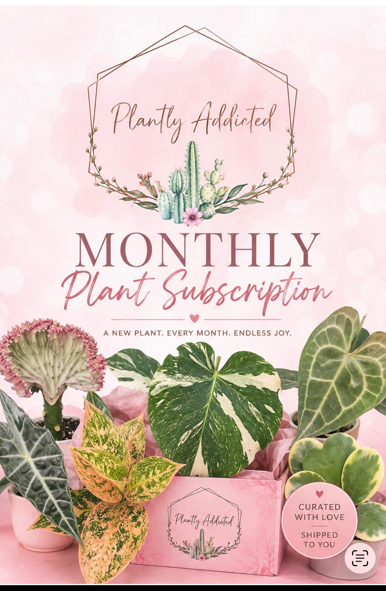 PLANTLYADDICTED MONTHLY SUBSCRIPTION (1 plant every month)