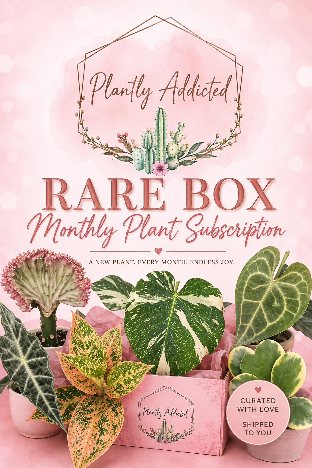 RARE π¨ PLANTLYADDICTED SUBSCRIPTION BOX