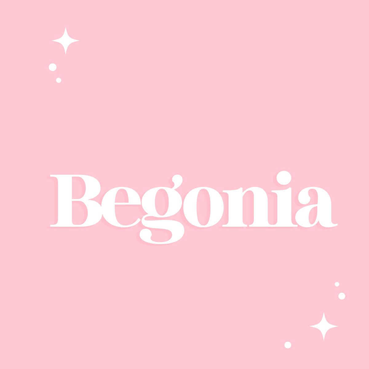 Begonia