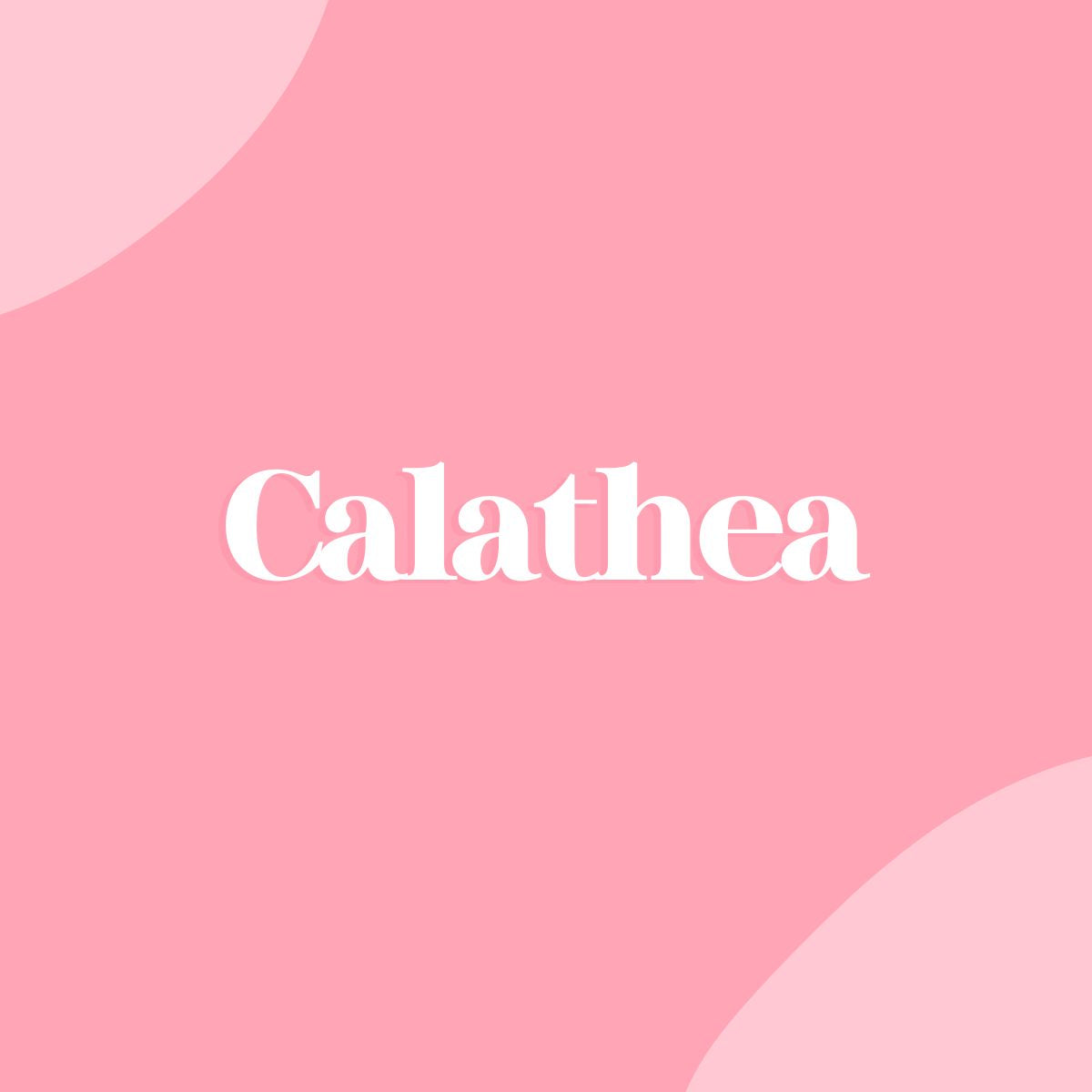 Calathea