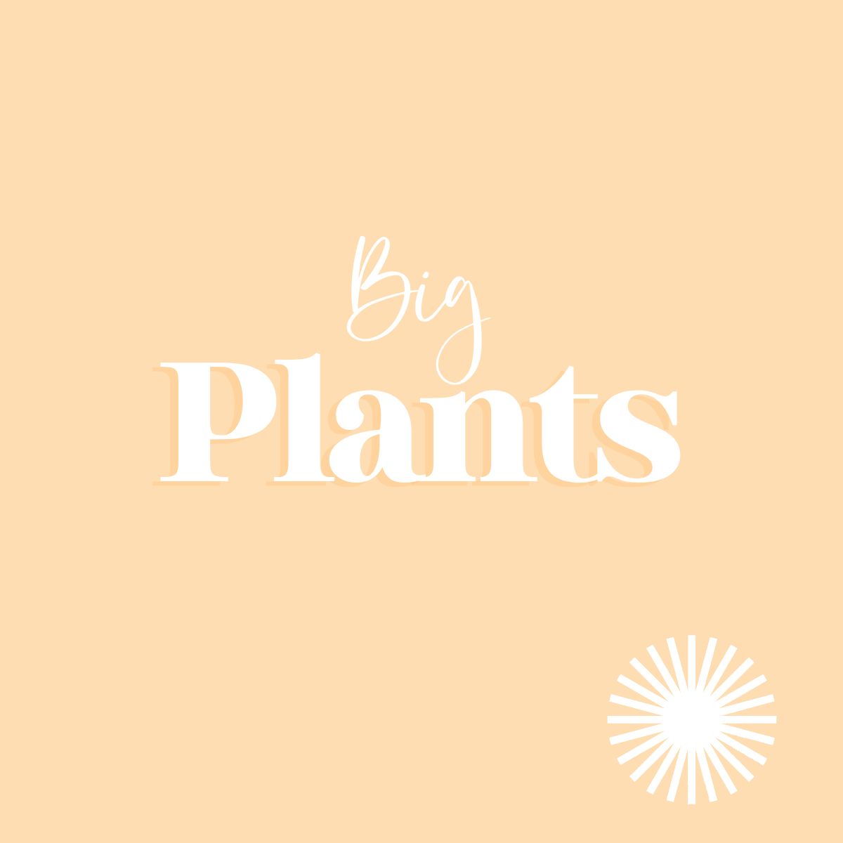 Big Plants