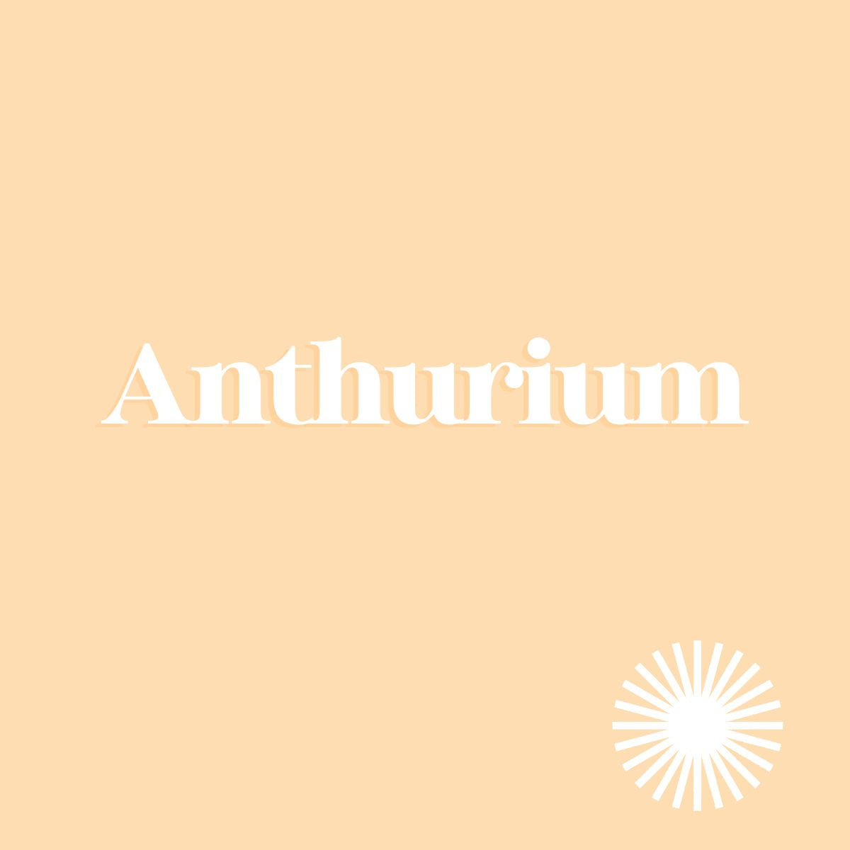 Anthurium