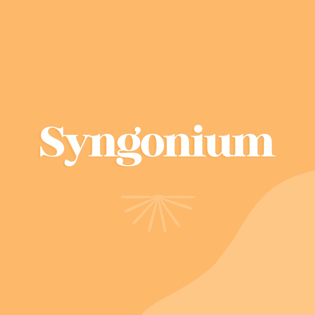 Syngonium