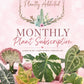 PLANTLYADDICTED MONTHLY SUBSCRIPTION (1 plant every month)