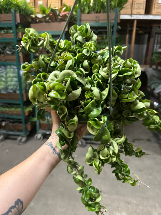 8” green rope with runners (LIMITED)